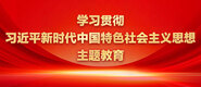 人体艺术三级片黄色操逼逼逼逼学习贯彻习近平新时代中国特色社会主义思想主题教育_fororder_ad-371X160(2)